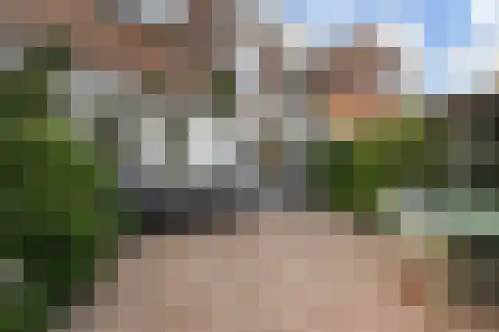 Rozenstraat 52 Rijswijk thumbnail 23