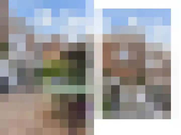 Rozenstraat 52 Rijswijk thumbnail 24