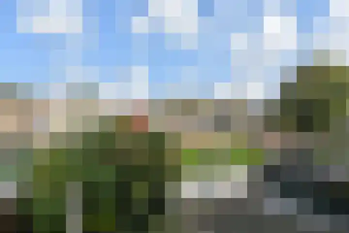 Rozenstraat 52 Rijswijk thumbnail 30