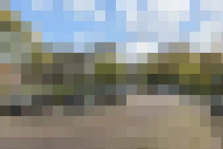 Rozenstraat 52 Rijswijk thumbnail 31