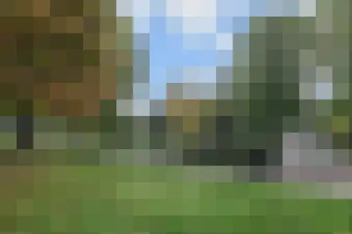 Rozenstraat 52 Rijswijk thumbnail 32