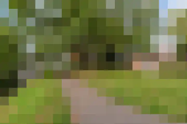 Rozenstraat 52 Rijswijk thumbnail 33