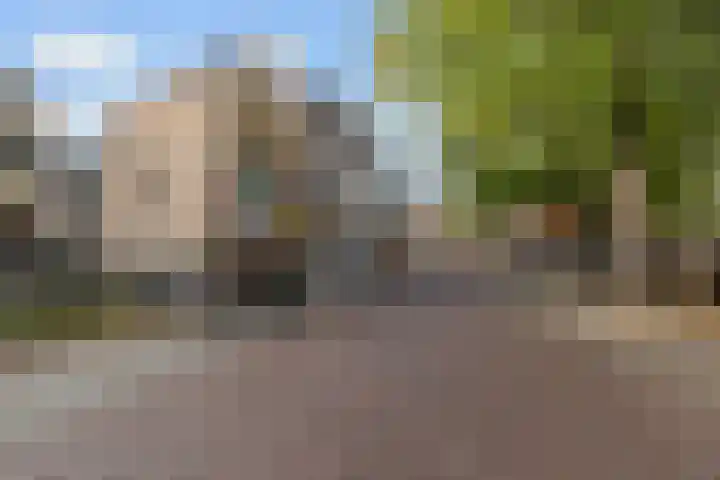Rozenstraat 52 Rijswijk thumbnail 35