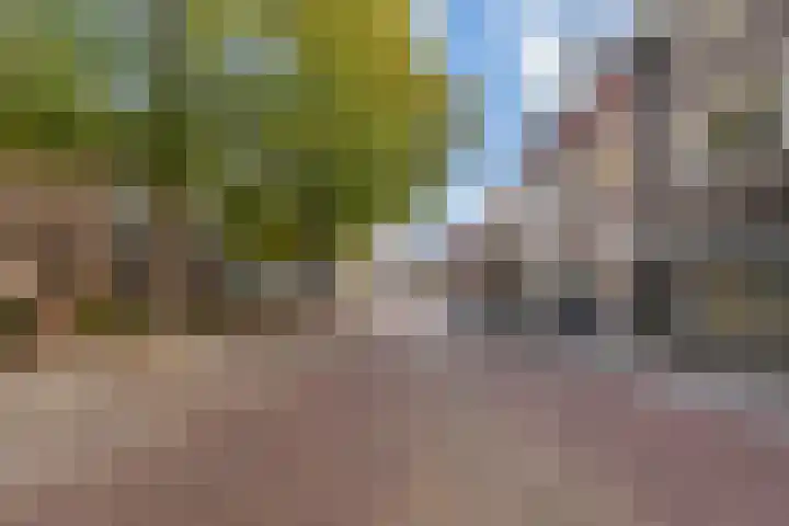 Rozenstraat 52 Rijswijk thumbnail 36