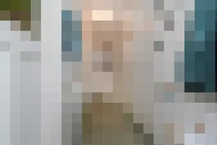 Rozenstraat 52 Rijswijk thumbnail 7