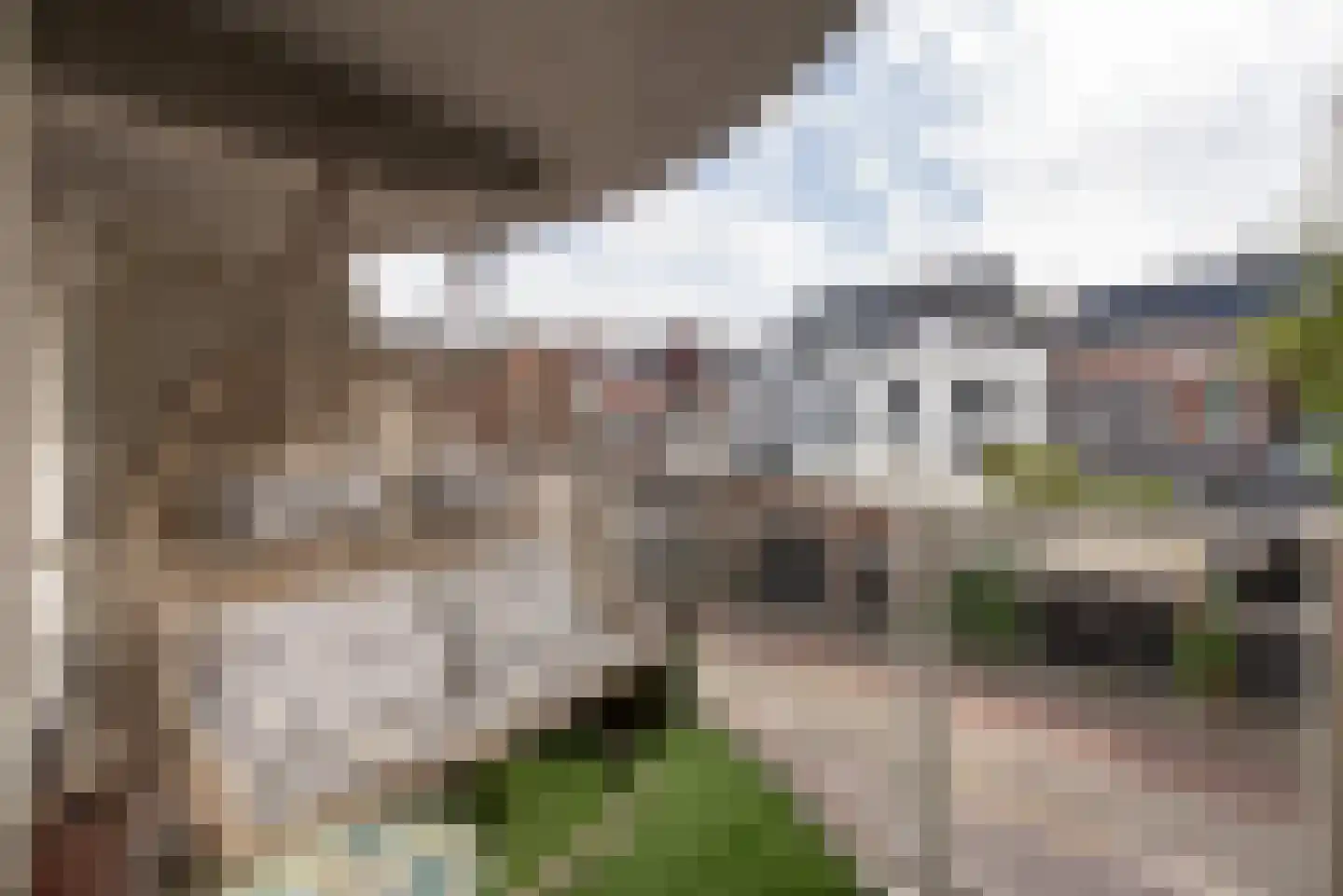 Rozenstraat 53 Haarlem thumbnail 10