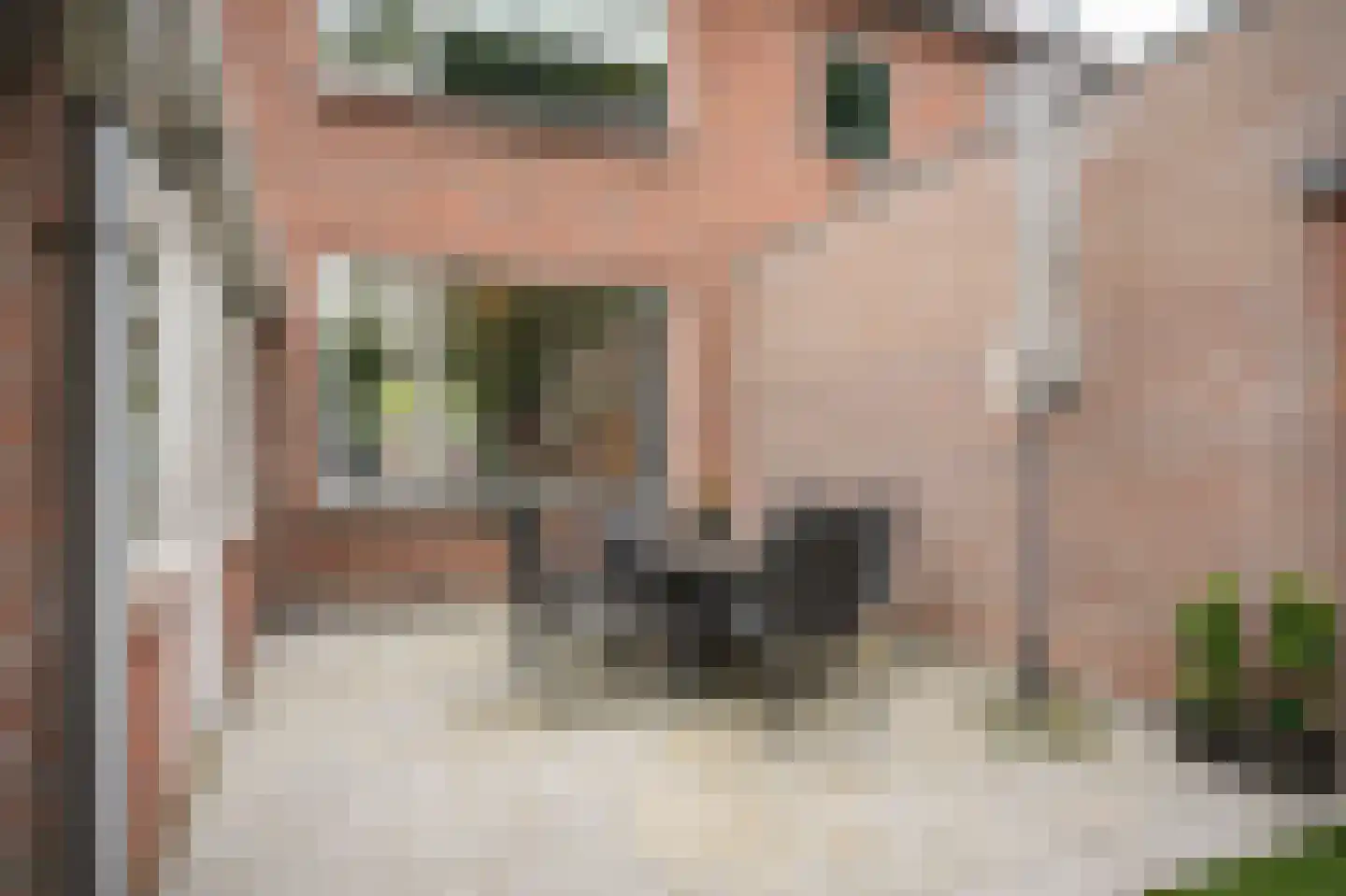 Rozenstraat 53 Wijk en Aalburg thumbnail 33