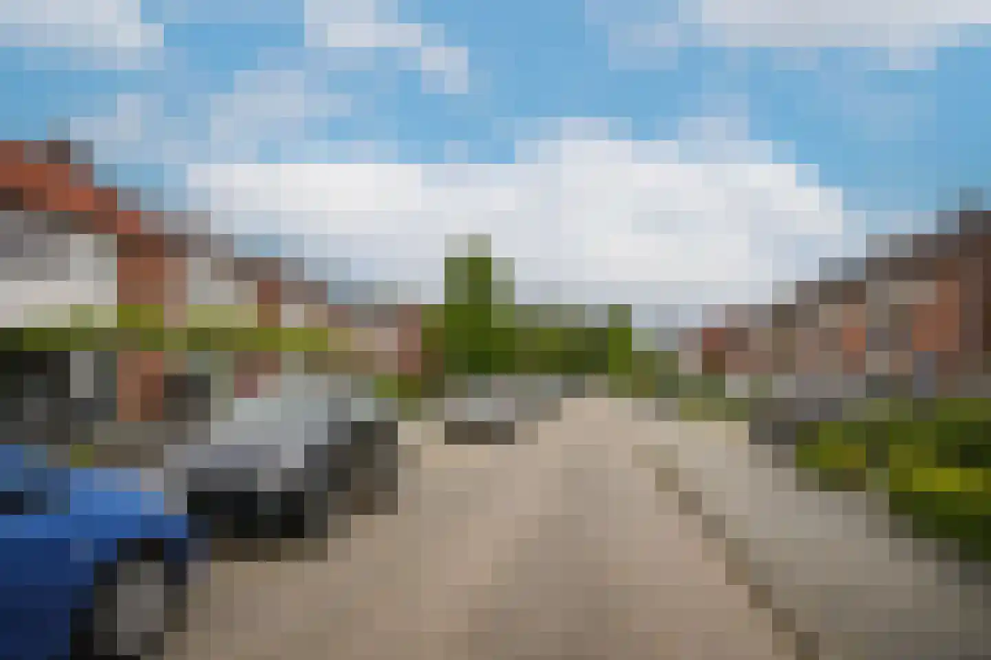 Rozenstraat 53 Wijk en Aalburg thumbnail 36