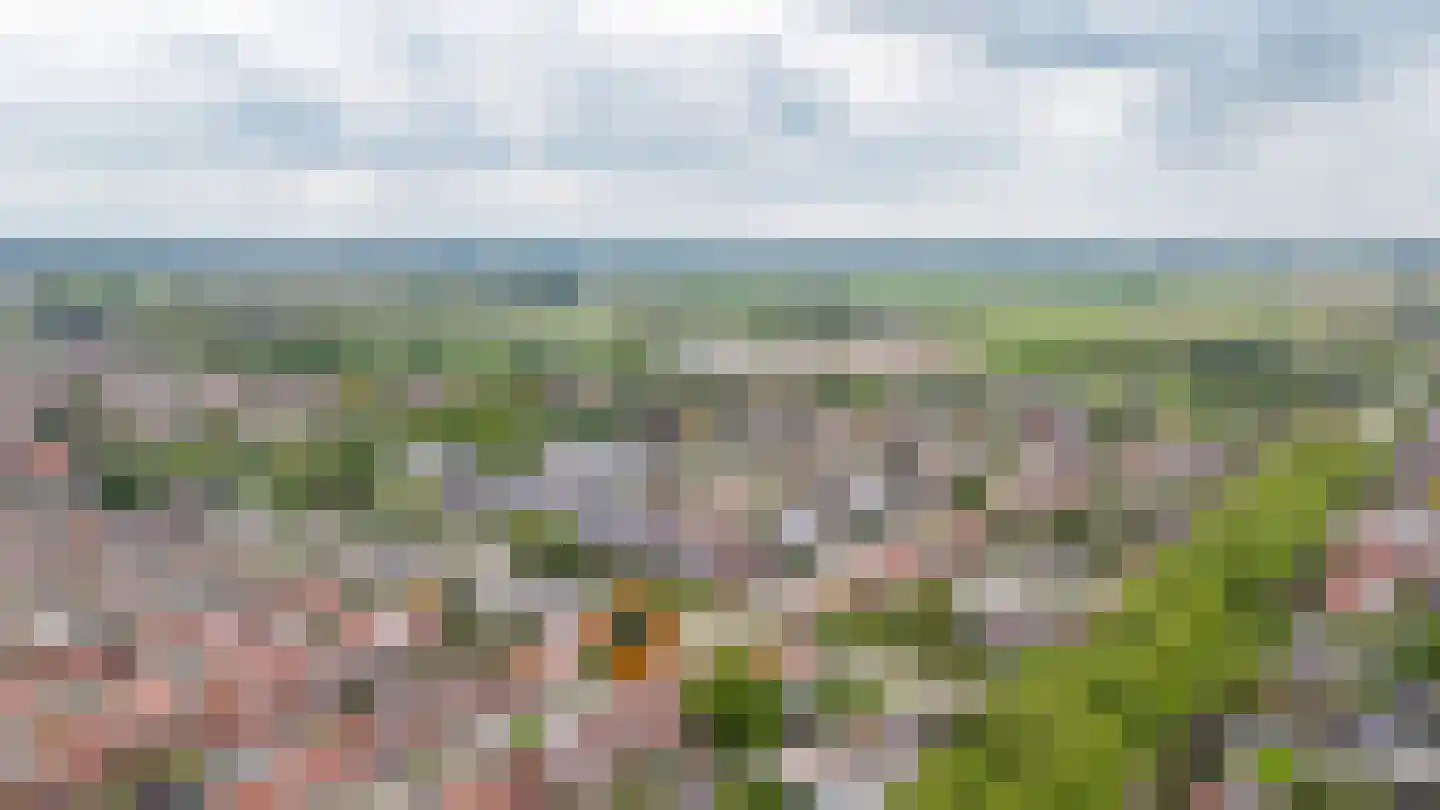 Rozenstraat 53 Wijk en Aalburg thumbnail 41