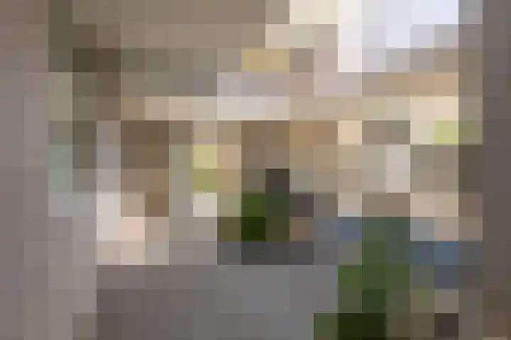 Rozenstraat 55 Barneveld thumbnail 11
