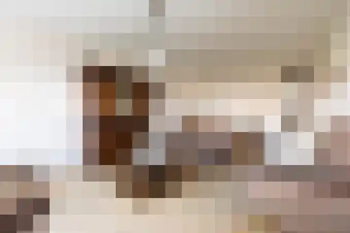 Rozenstraat 55 Barneveld thumbnail 17