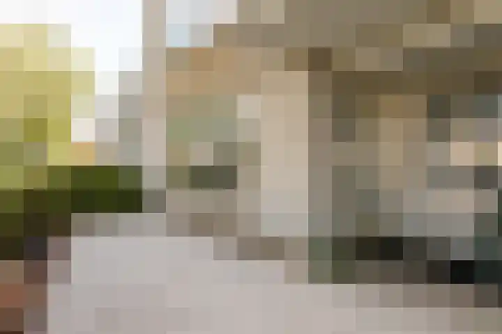 Rozenstraat 55 Barneveld thumbnail 30