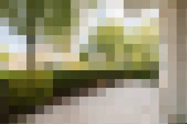 Rozenstraat 55 Barneveld thumbnail 4