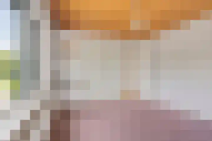 Rozenstraat 57 Didam thumbnail 15