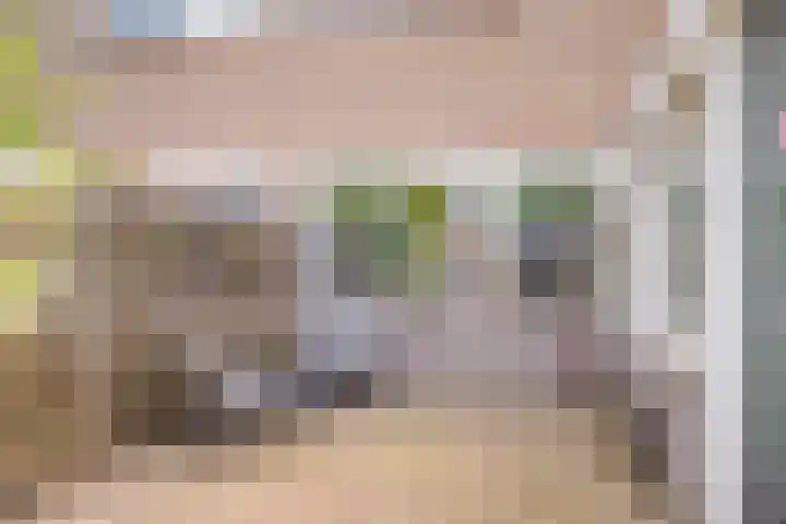 Rozenstraat 58 Bovensmilde thumbnail 7