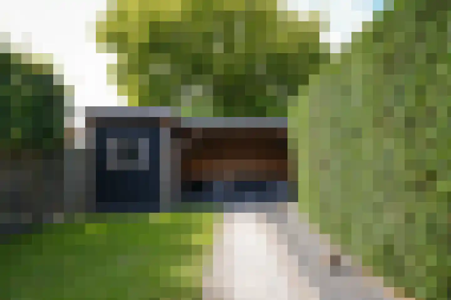 Rozenstraat 59 Wijk en Aalburg thumbnail 4
