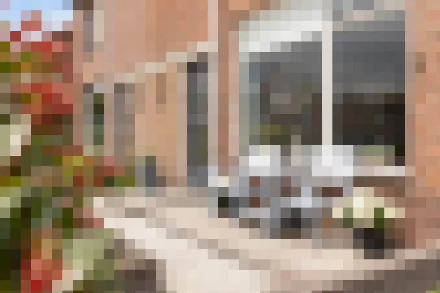 Rozenstraat 6 Eerbeek thumbnail 11