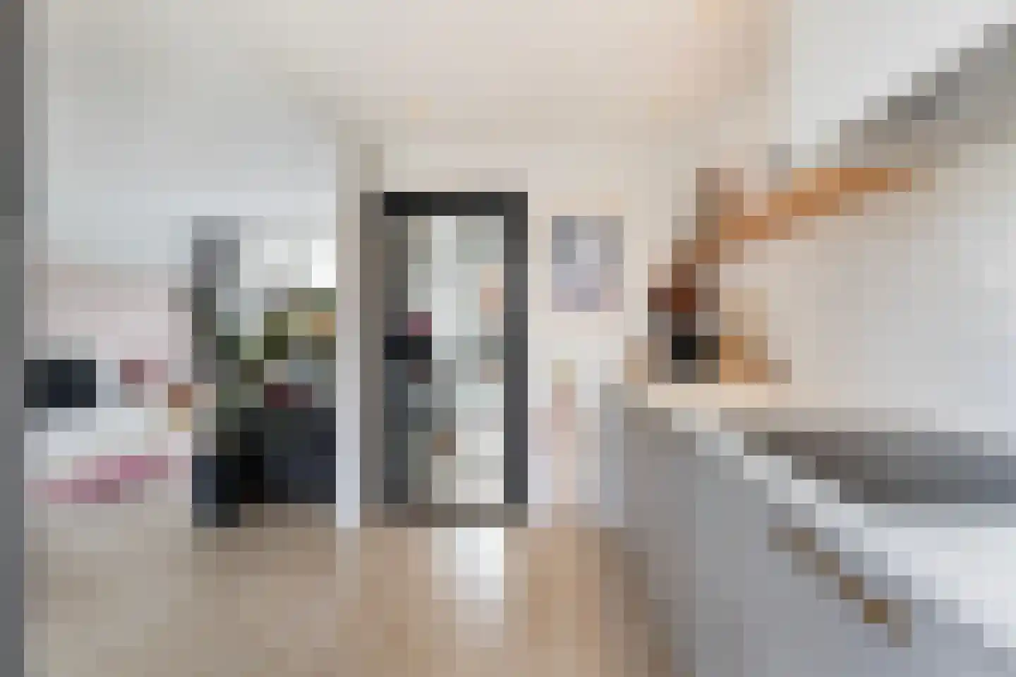 Rozenstraat 6 Eerbeek thumbnail 18