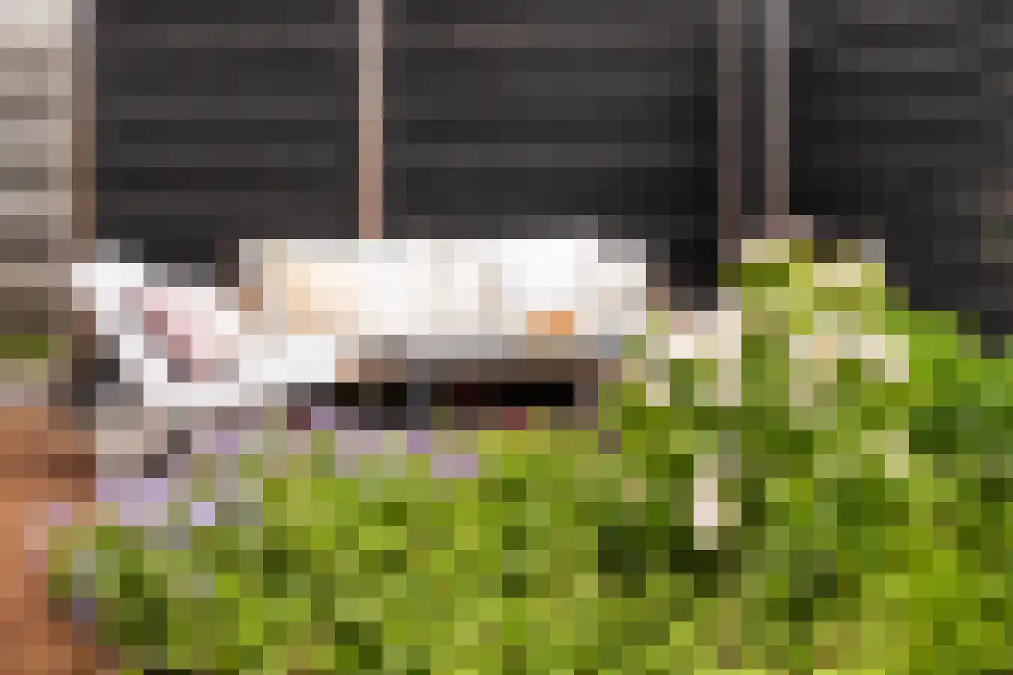 Rozenstraat 6 Eerbeek thumbnail 32
