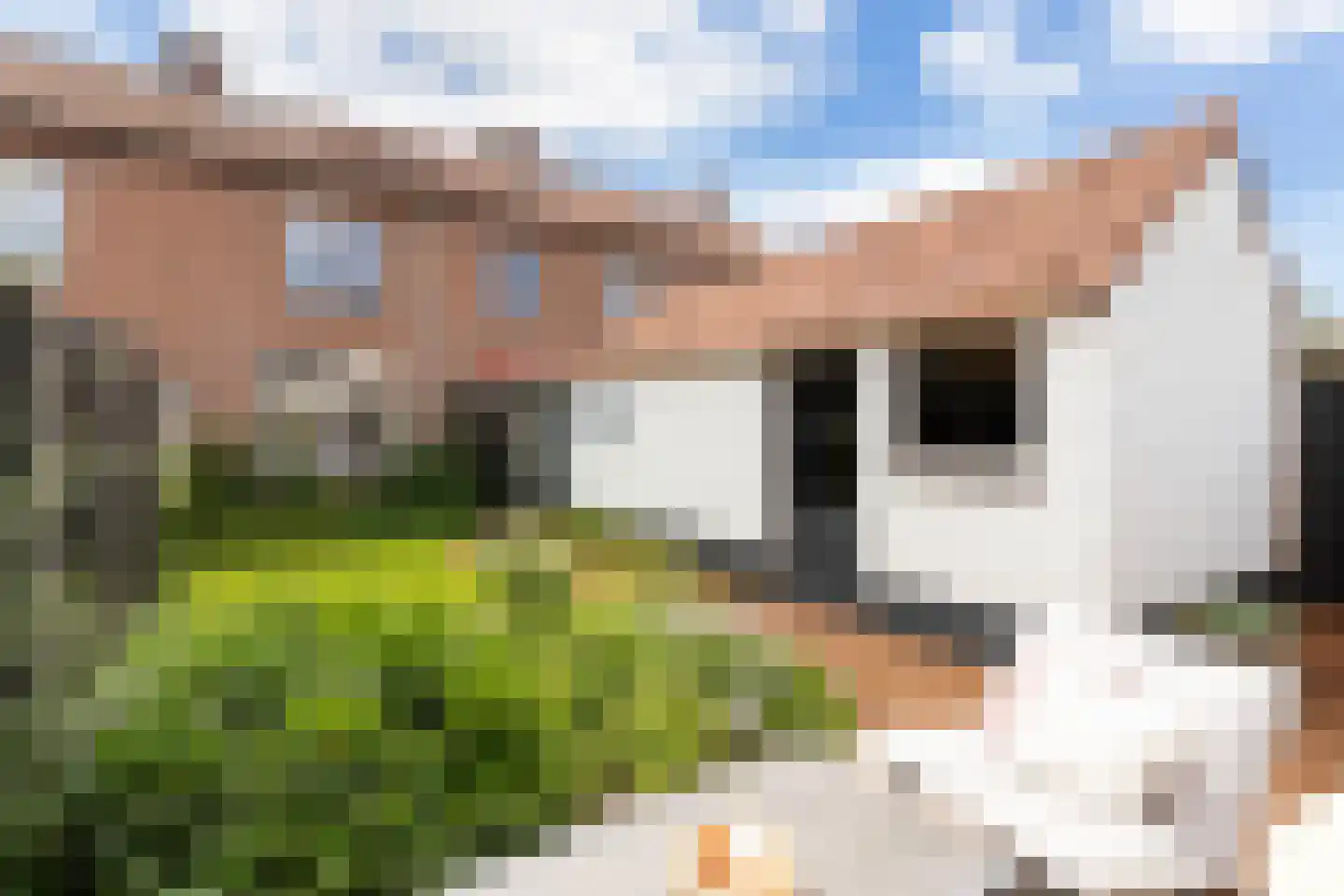 Rozenstraat 6 Eerbeek thumbnail 34