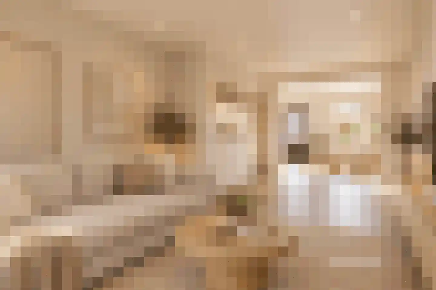 Rozenstraat 6 Heesch thumbnail 11