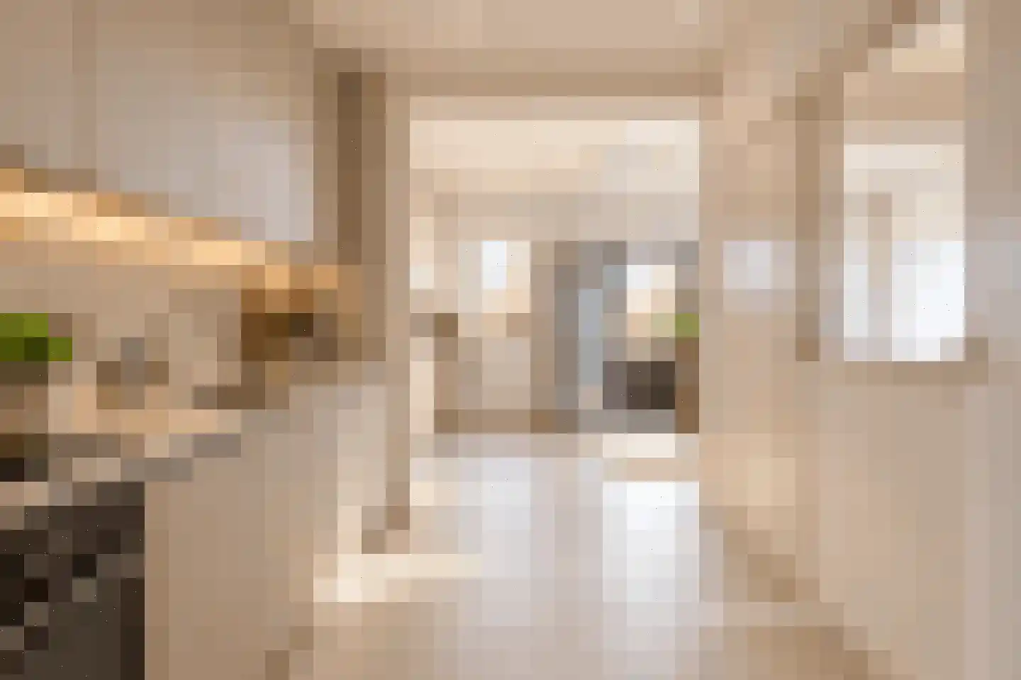 Rozenstraat 6 Heesch thumbnail 14