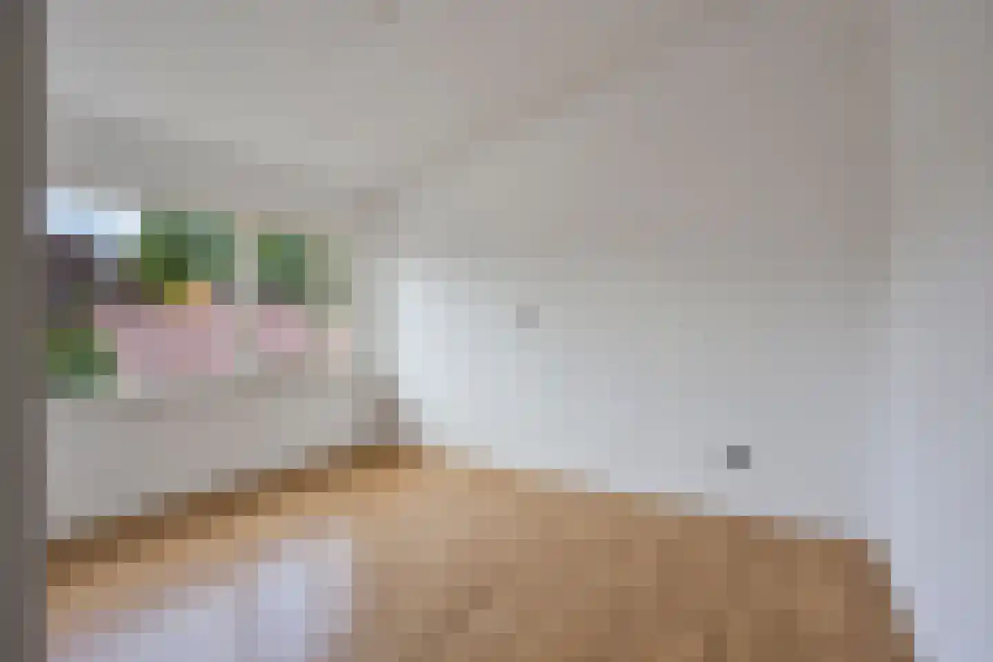 Rozenstraat 6 Heesch thumbnail 17
