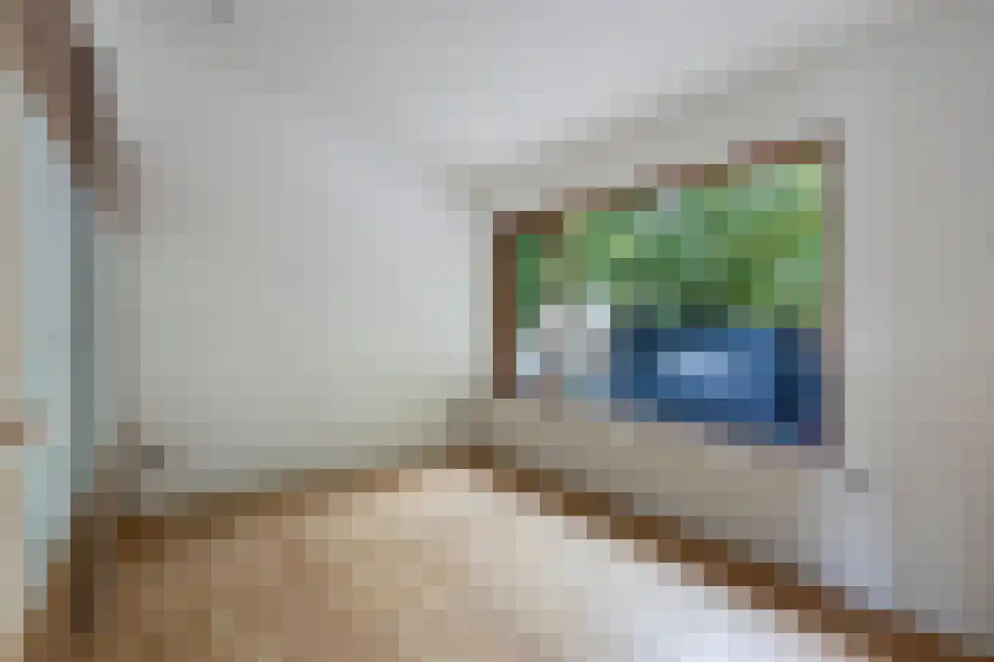 Rozenstraat 6 Heesch thumbnail 20
