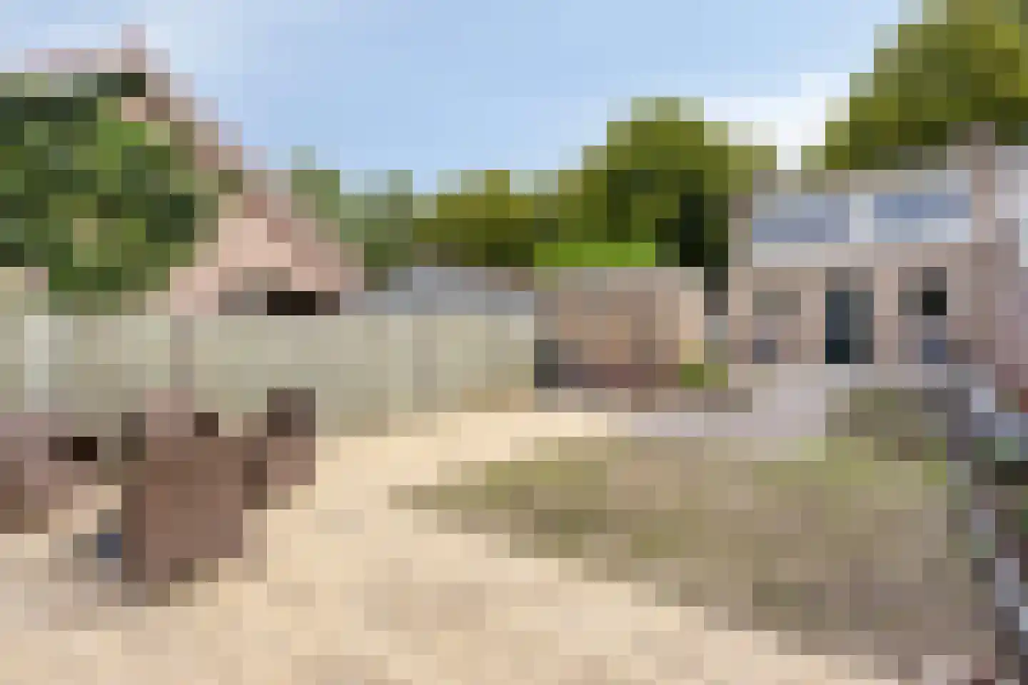 Rozenstraat 6 Heesch thumbnail 26