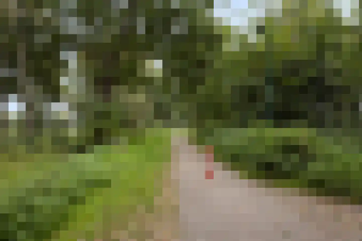 Rozenstraat 6 Heesch thumbnail 28