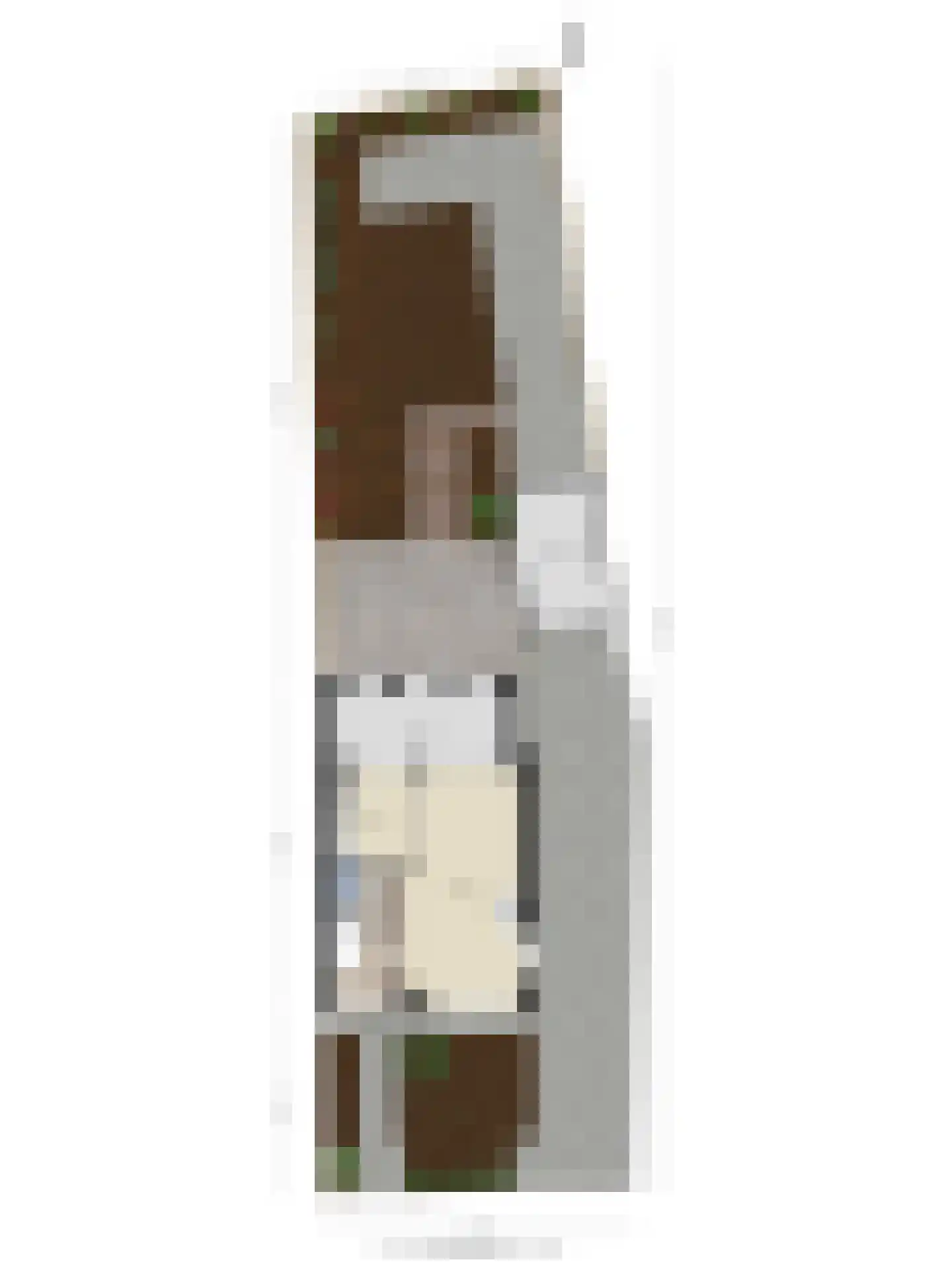 Rozenstraat 6 Heesch thumbnail 30