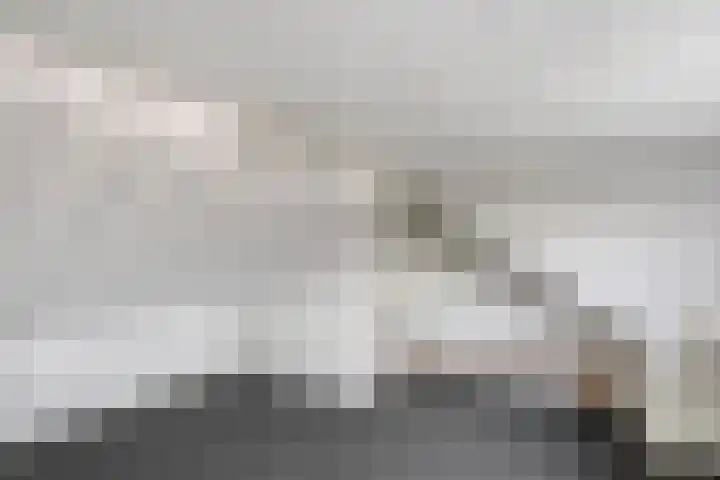 Rozenstraat 6 Meppel thumbnail 23