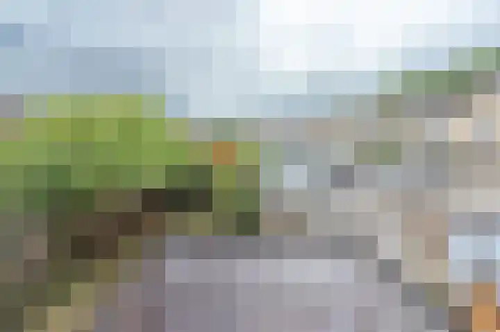 Rozenstraat 6 Siebengewald thumbnail 21