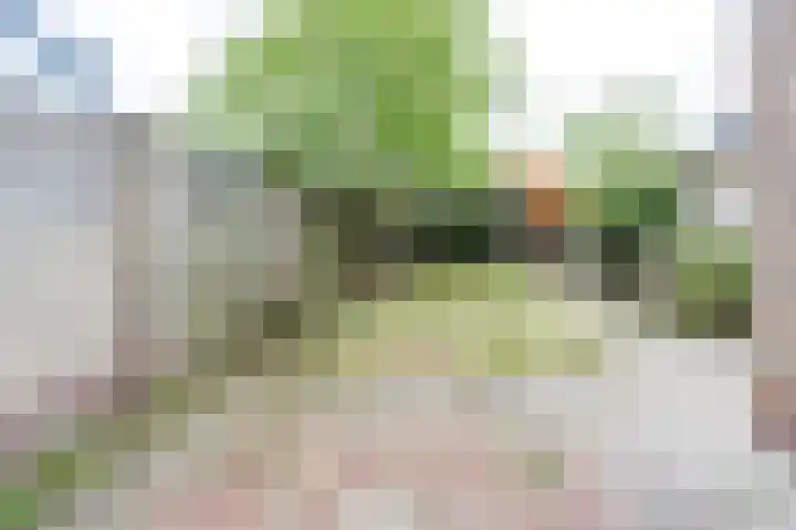 Rozenstraat 6 Siebengewald thumbnail 23