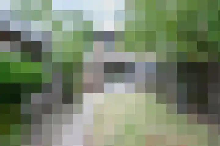 Rozenstraat 6 Siebengewald thumbnail 24