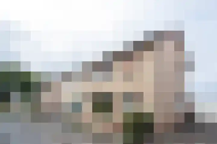 Rozenstraat 6 Siebengewald thumbnail 27