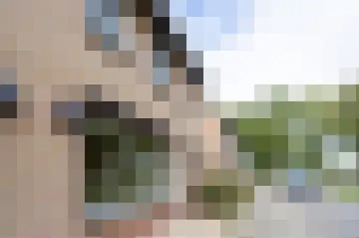 Rozenstraat 6 Siebengewald thumbnail 28