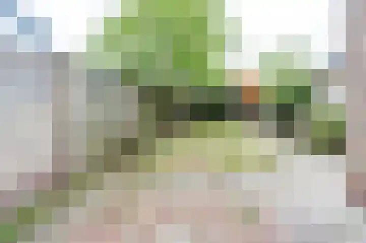 Rozenstraat 6 Siebengewald thumbnail 4