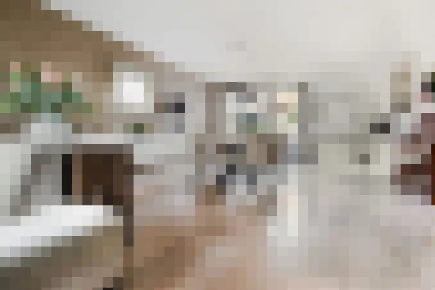 Rozenstraat 6 Volendam thumbnail 17