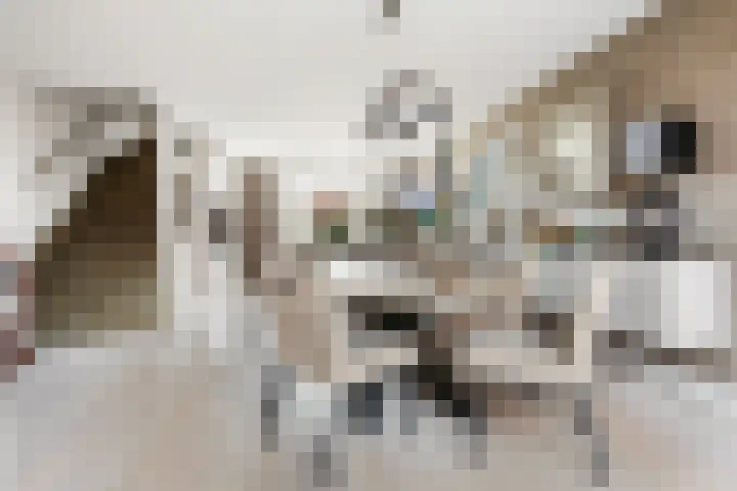 Rozenstraat 6 Volendam thumbnail 20