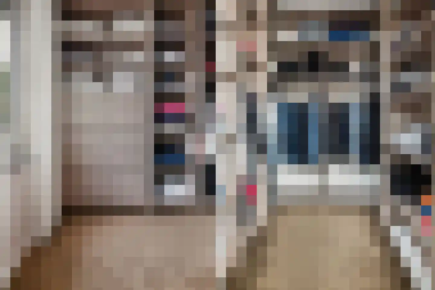 Rozenstraat 6 Volendam thumbnail 33