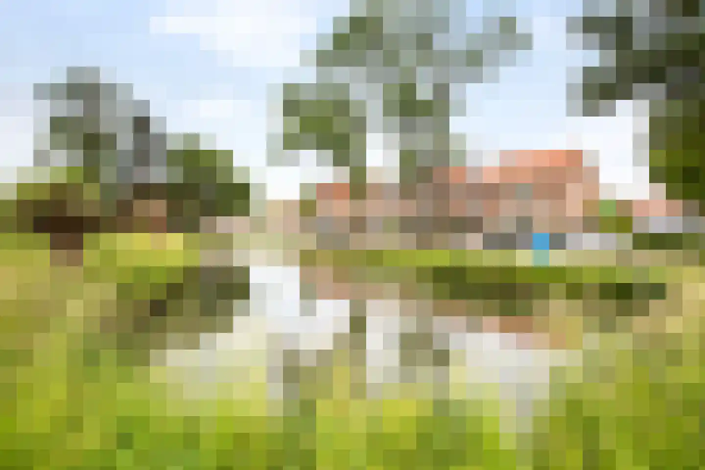 Rozenstraat 6 Volendam thumbnail 4
