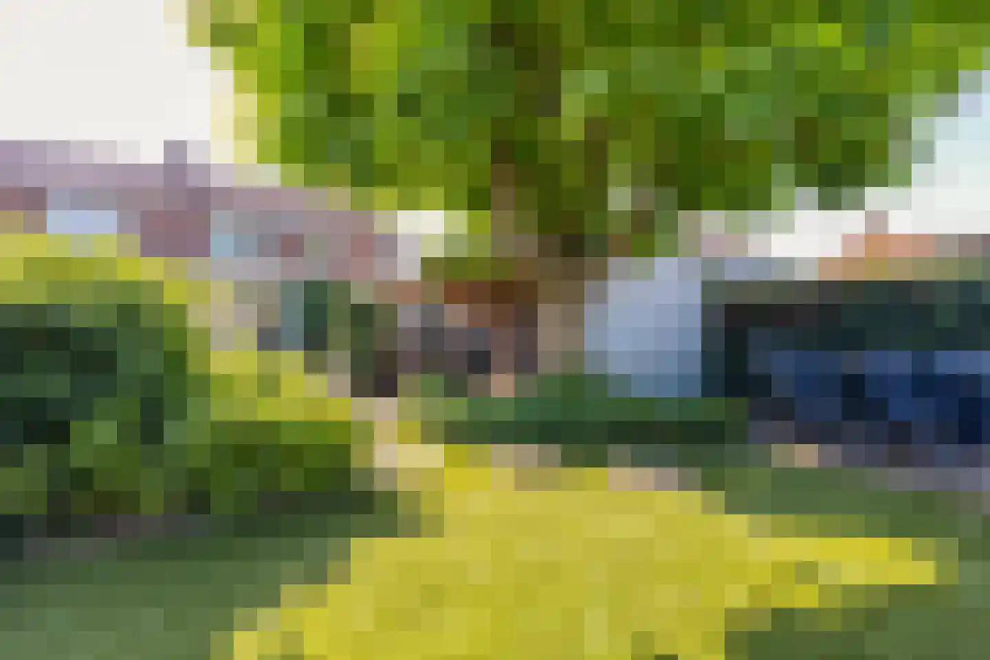 Rozenstraat 61 Echt thumbnail 22