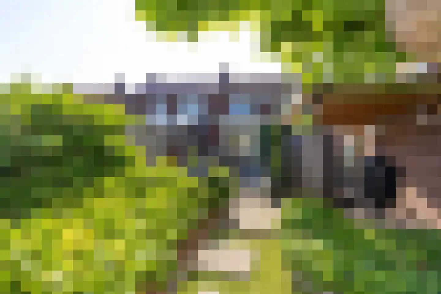 Rozenstraat 61 Echt thumbnail 23