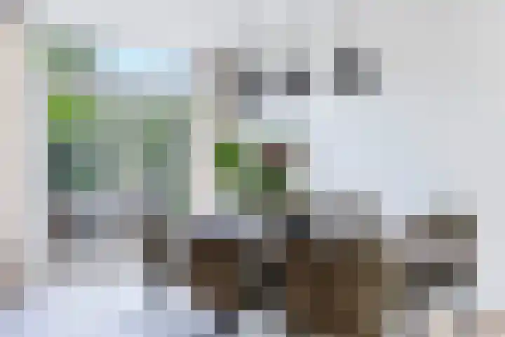 Rozenstraat 61 Eerbeek thumbnail 15