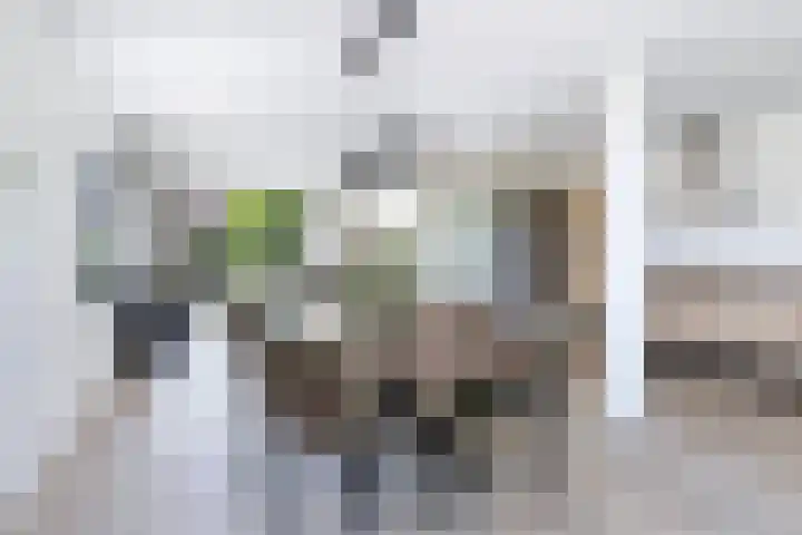 Rozenstraat 61 Eerbeek thumbnail 17
