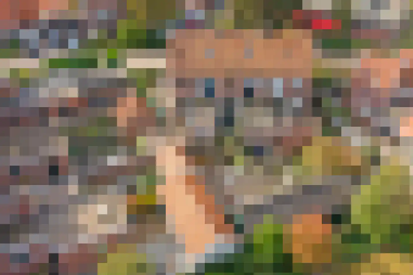 Rozenstraat 63 Winterswijk thumbnail 40
