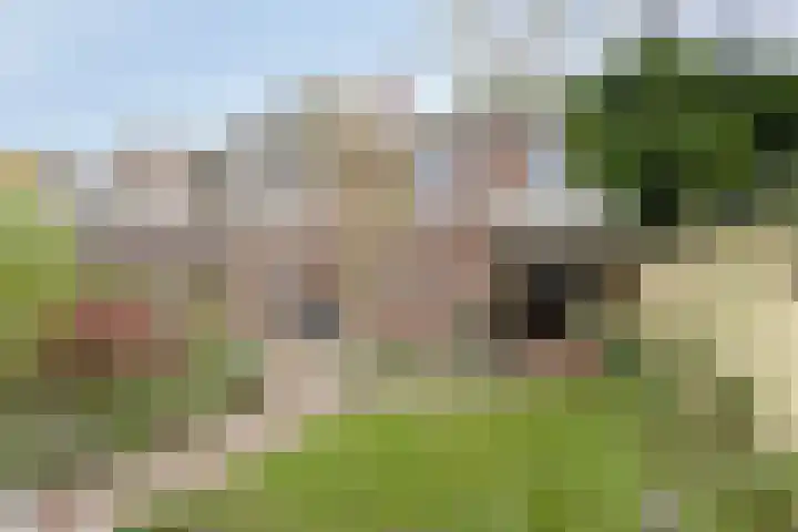 Rozenstraat 64 Almelo thumbnail 22