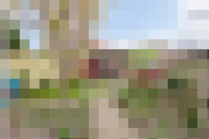 Rozenstraat 64 Almelo thumbnail 24