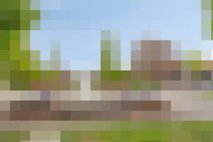 Rozenstraat 64 Almelo thumbnail 29